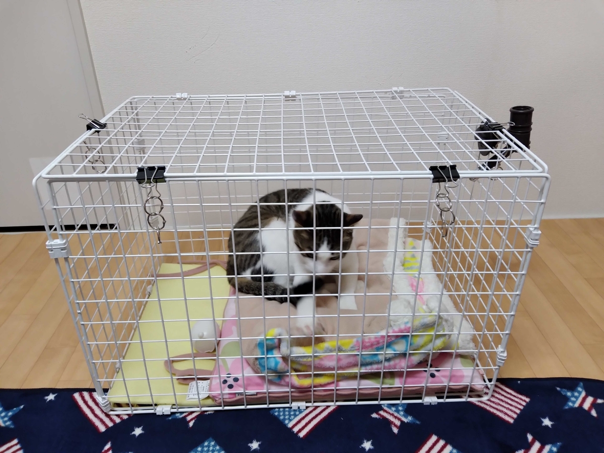 猫の保護用に100均のワイヤーネットで３段ケージを作ったよアラフォーふく子さんの、婚活・ダイエット・料理と副業の日々