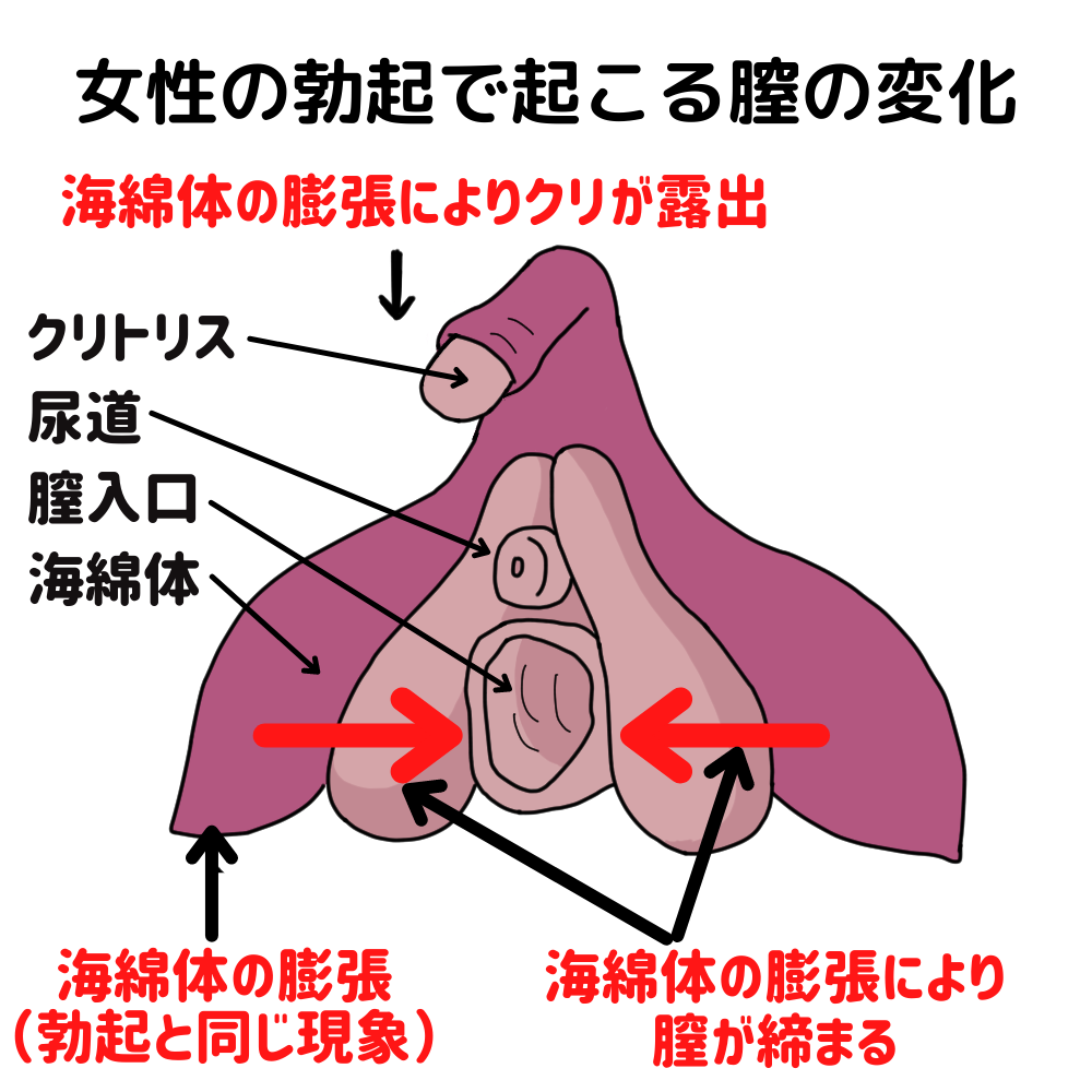 前立腺マッサージ,振動,射精遅延,リモートコントロールgスポット,男性用,大人のおもちゃ用のアナルプラグ - AliExpress