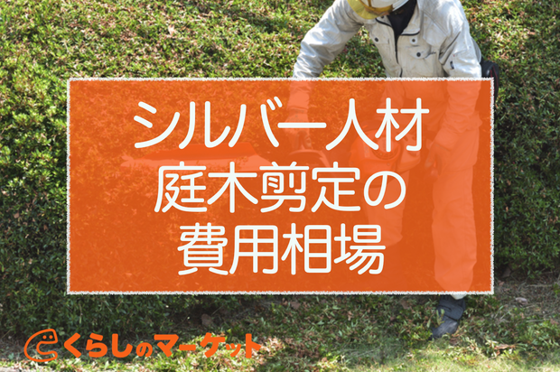 伐採した木の処分費用は約1万円！枝や根っこの処分費用・自力で無料処分する方法まで解説伐採110番