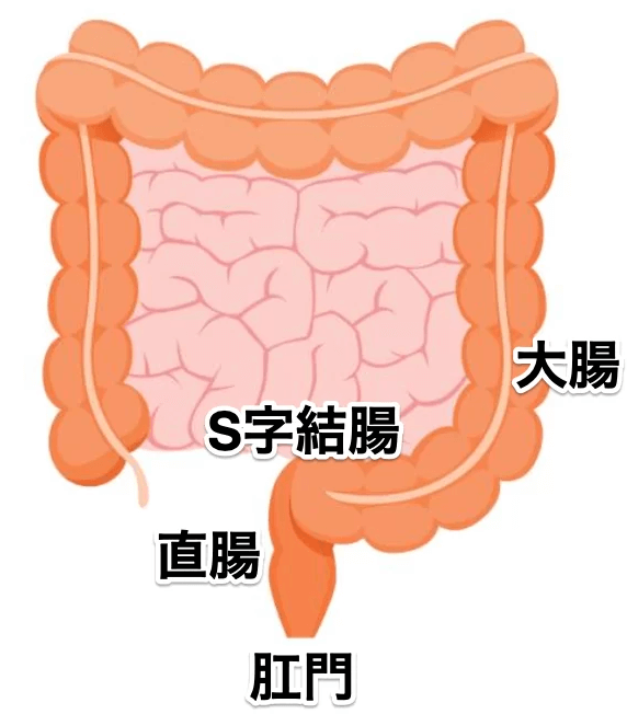 初心者向けアナルセックスのやり方教えます