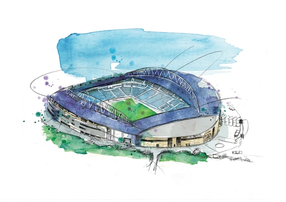 アメックス スタジアム カード、ブライトン アンド ホーヴ アルビオン、サッカー、LM253 - Etsy 日本