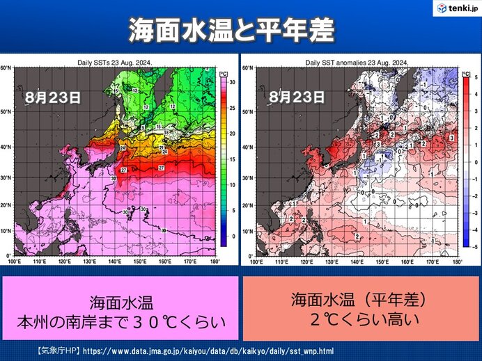 生理中に入れる『海綿』ってナニ？｜つーばき｜夜職専門スカウト