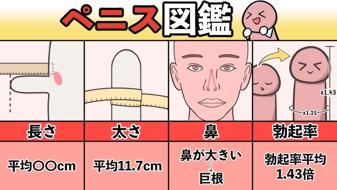 男性器の大きさは女性にとって重要なのかというアンケート結果をまとめた図 - GIGAZINE