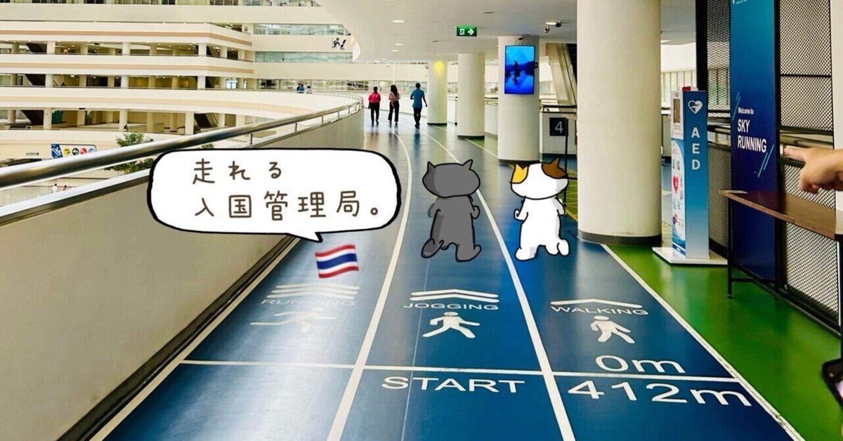 移り住みたくなる宿 イミグレ」オーナー松木さんインタビュー 贅沢ランチレポート！レポートひみ知っ得ナビ