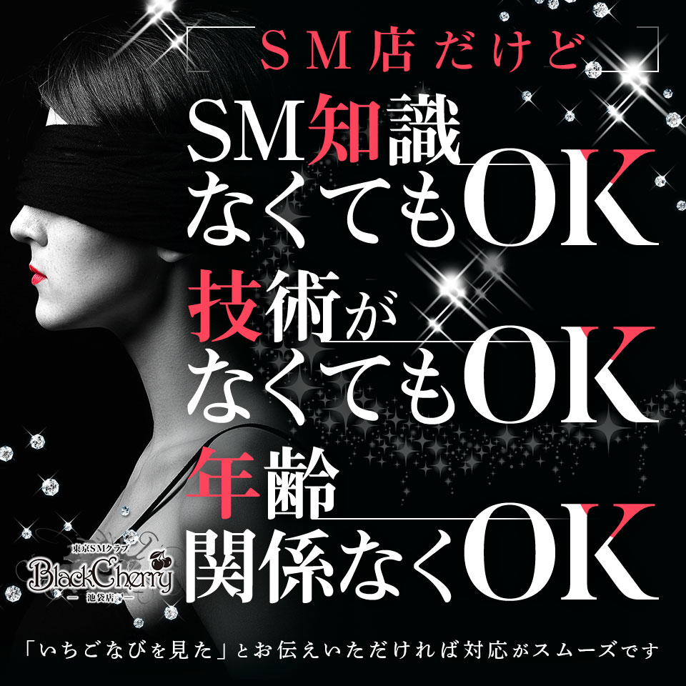 東京都のSM店 | 【SMスナイパー】東京都のSMクラブ・風俗・M性感・バー専門サイト