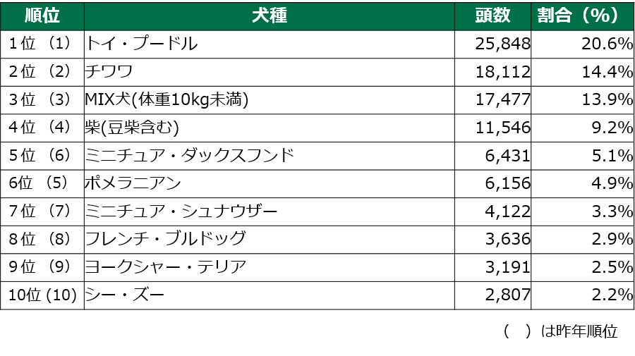 ポメラニアン 】小さい・賢い・友好的！飼いやすさ5つ星！初心者や多頭飼いに！ | マルワンBLOG |