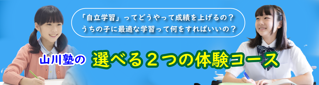 ena】の夏期講習会を徹底解説！費用やその感想も。【都立中の塾選びの参考に】