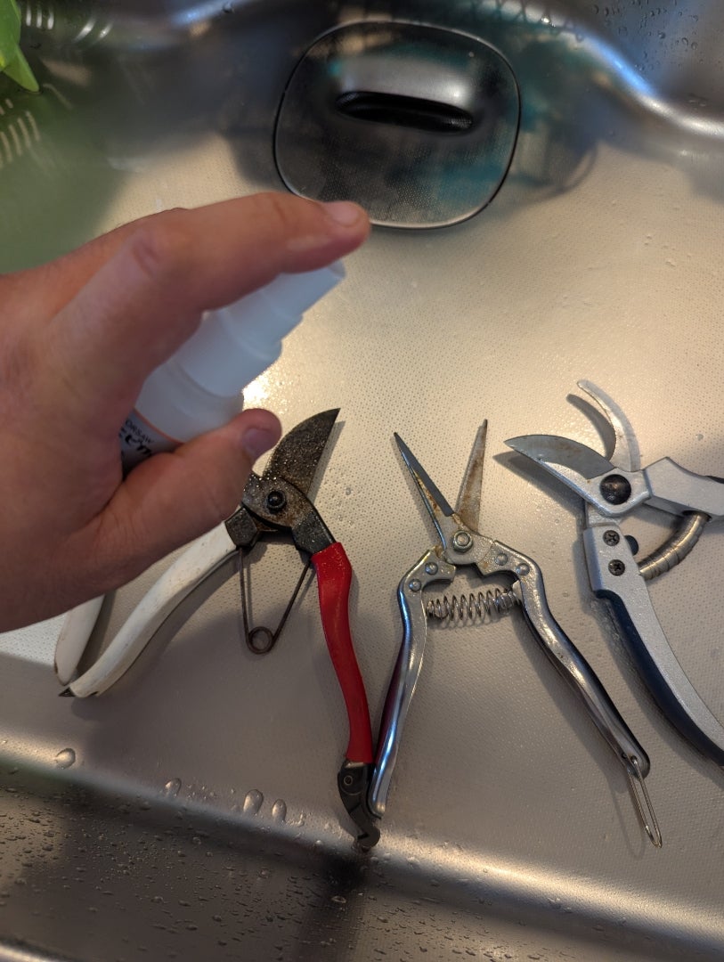 剪定バサミがピカピカに！ 園芸用ハサミやノコギリの手入れ方法となりのカインズさん
