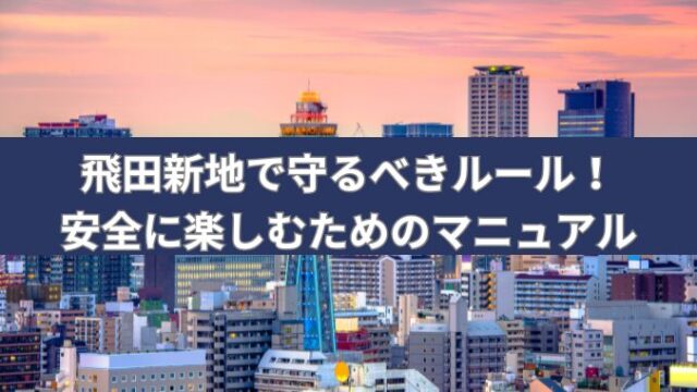 飛田新地ひやかし禁止 #飛田新地 #おばちゃん #盗撮禁止