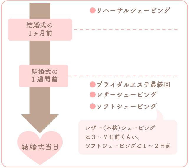 【VIO /デリケートゾーン】元脱毛インストラクターが教える正しい剃り方【総集編】2023年アップデートver.✨