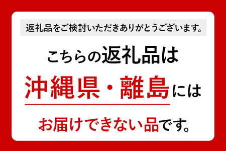 日本ソープボックスダービー協会、群馬パーツショーに出展 交通安全など啓発｜首都圏｜首都圏