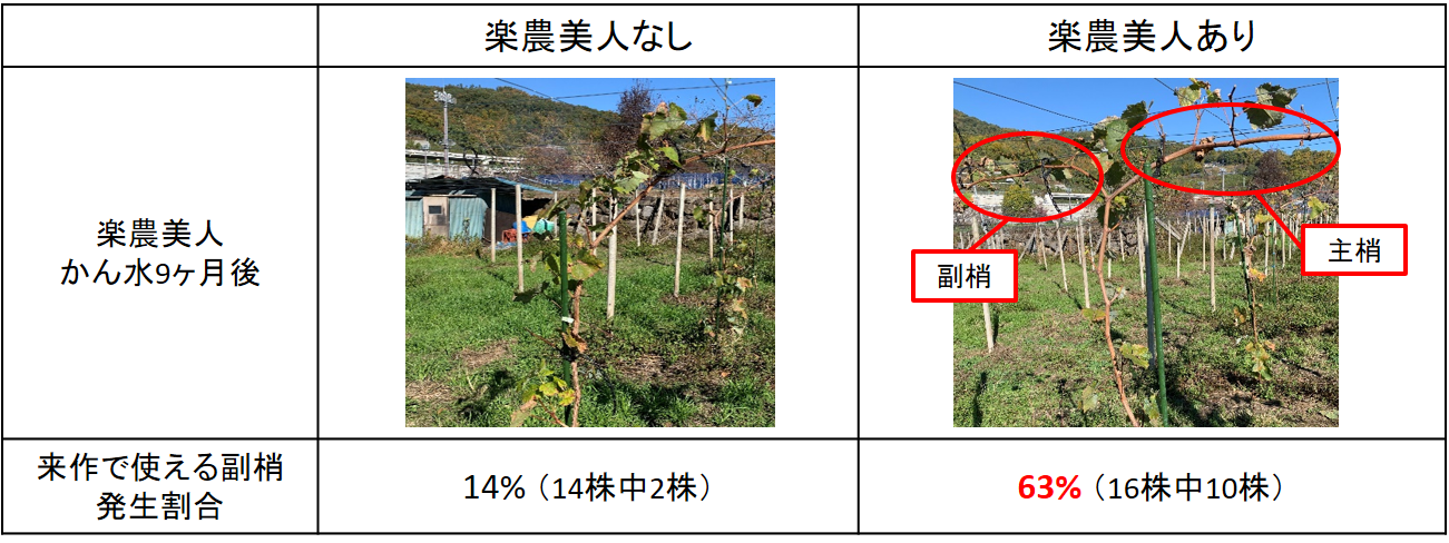 目に見えることばかりが 本当のこととは限らないし 人から聞いたことが