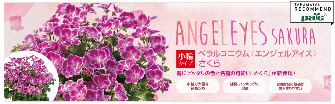 昭和 ASAHI PENTAX 交換レンズ カタログ - メルカリ