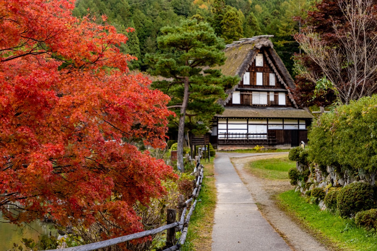 青い部屋 公式HP｜飛騨・高山 デリヘル