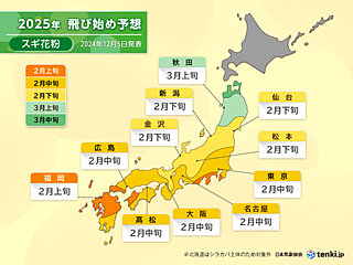 花粉症 - 八王子の鍼灸院・鍼あづさ