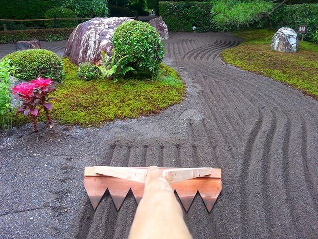 梅雨の京都を彩る青い紫陽花の壁紙の写真素材 [41436456] - PIXTA