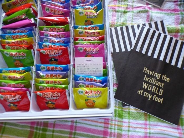 お土産 小分け袋 100均TikTok