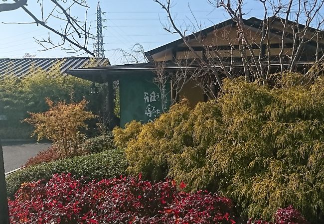 埼玉県杉戸町：日帰り温泉 杉戸天然温泉 雅楽の湯 うたのゆ・ 早めの ディナービュッフェ ・♪北軽井沢 半住人生活