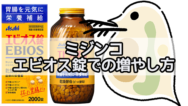 天然素材の乾燥酵母が効く！【エビオス錠】 教えて秋山先生！整腸剤飲み比べ企画 シリーズ第9弾！