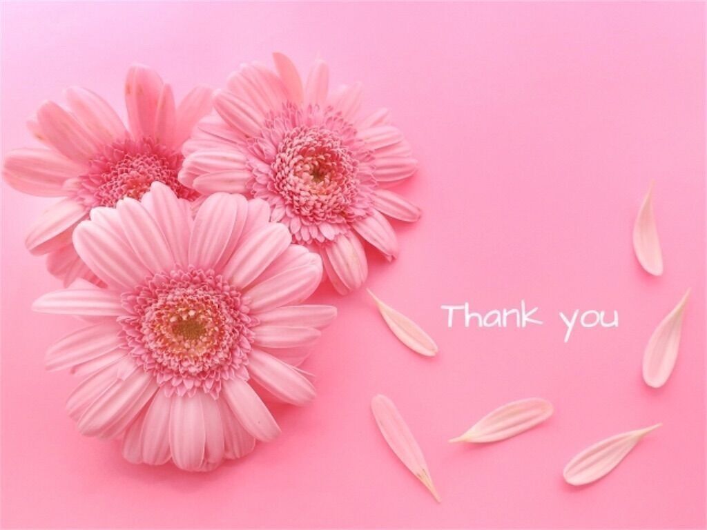 出産報告っていつするの？タイミングやマナーを例文付きでご紹介！ – BABY&Me ベビーアンドミーヒップシートキャリア