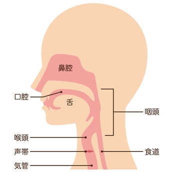 H27-15:フェラについて | ヤる！プロジェクト