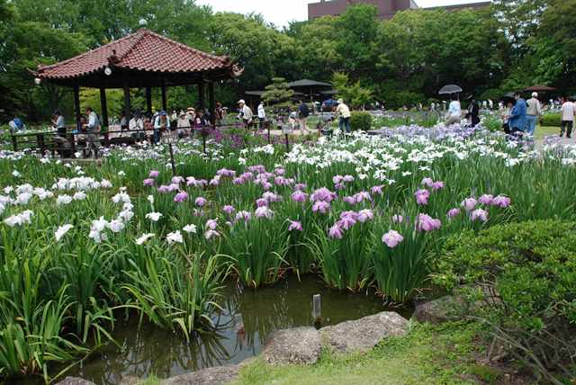 旭区グリーンロードを歩いてみませんか 横浜市旭区