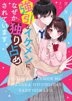 携帯小説（ピンクレーベル）42冊 - 本