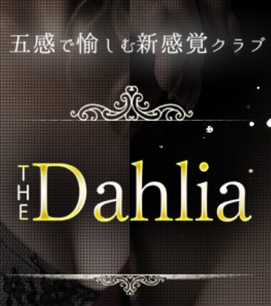 千葉・松戸のセクキャバをプレイ別に7店を厳選！お持ち帰り・おっぱい遊び・竿触りの実体験・裏情報を紹介！ | purozoku[ぷろぞく]