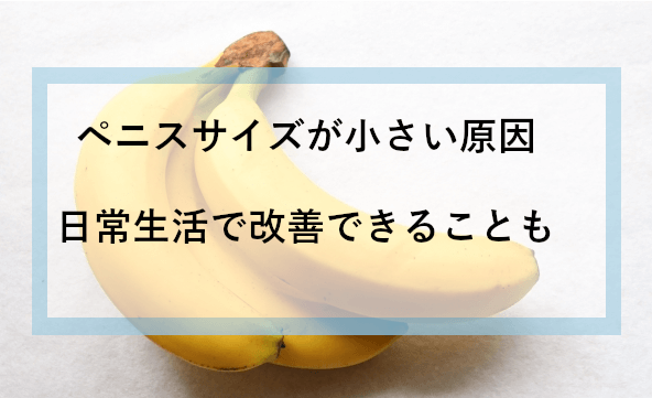 小さいペニスは恥じゃない!日本人の平均サイズとペニスを大きくする方法｜ネット総合病院｜薬のネット通販・個人輸入