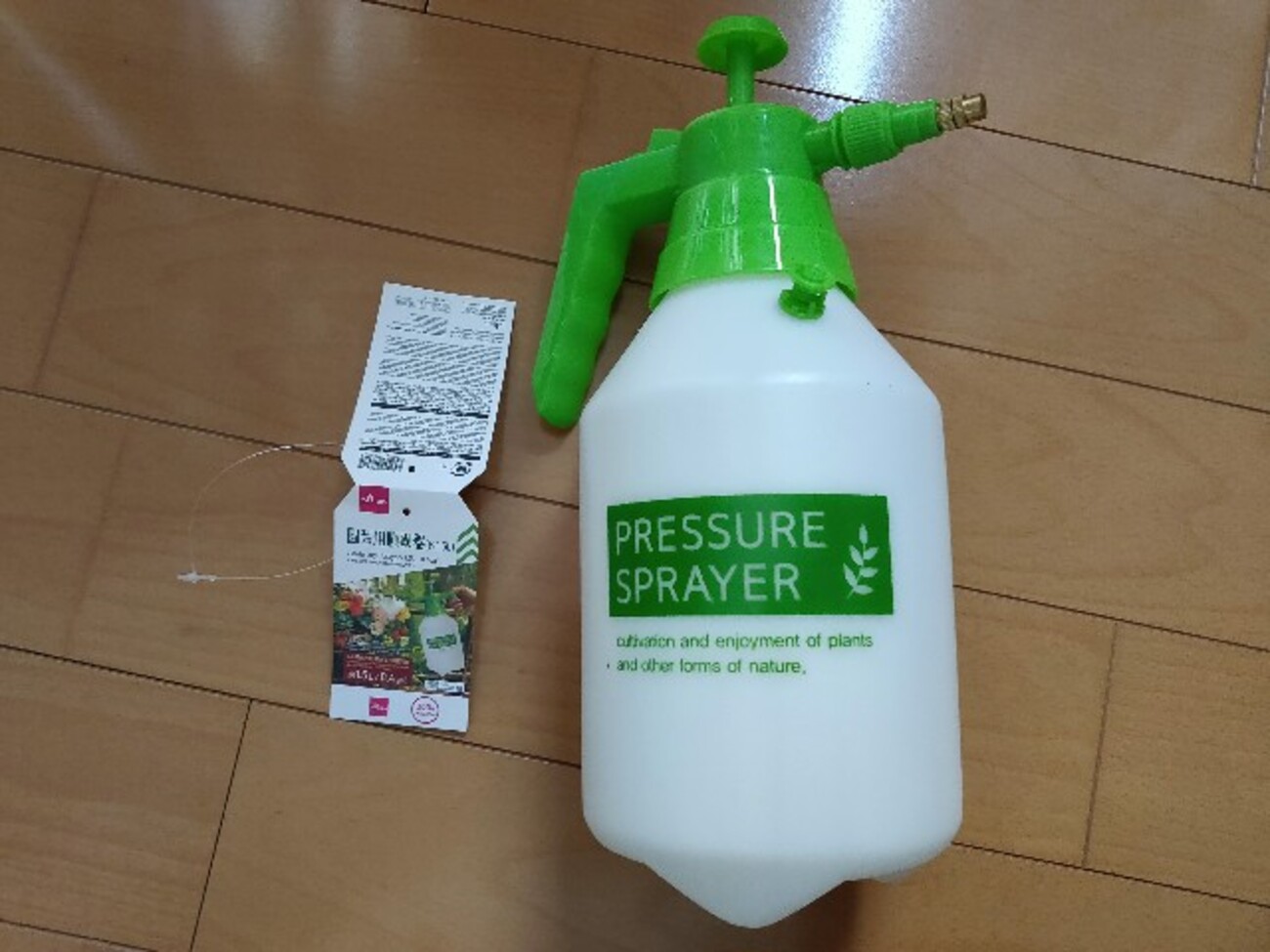 海水浴場オープンについてみやざき臨海公園 - Miyazaki Seaside Park