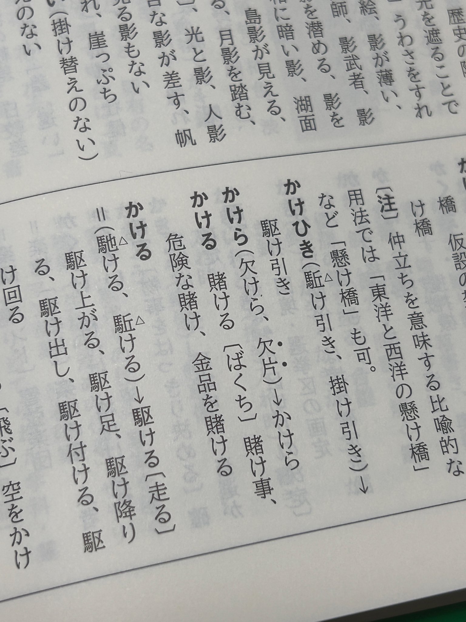 駆け付ける・駈け付ける」 かけつける の意味