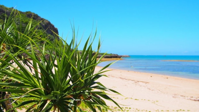 photo studioouchiの料金・プラン3組様限定！ 大人気モニタープラン第二弾キャンピングトレーラーで沖縄を旅するフォトウェディングツアー♪ドローン動画・映像付き！Photorait