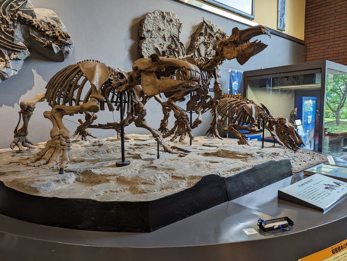 秩父鉄道は貨物列車が特徴、石灰石を運ぶ「ホッパ車」を武骨な電気機関車が引っ張ります - ライブドアニュース