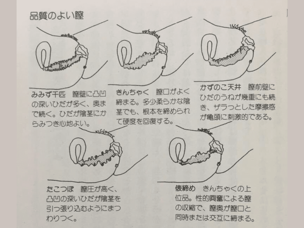 名器の証明 - メンズ通販