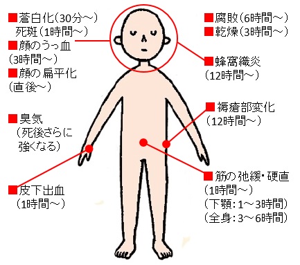 対象となる方 : NECカラダケア | NEC