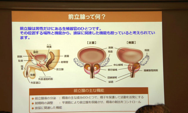 骨盤底医療部門（骨盤臓器脱・尿失禁など） | 女性医療センター | 専門センター