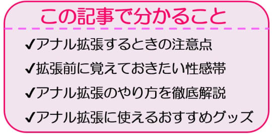 アナルセックスの上手なやり方とは？ 初心者向け完全ガイド |