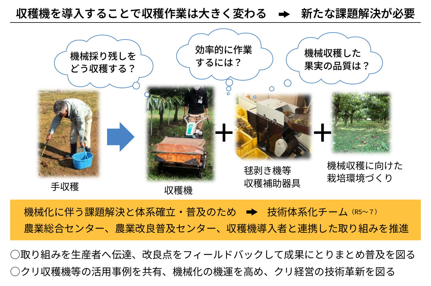 クリトリスを拡張・増大する方法｜簡単にできるクリ育の手順とは