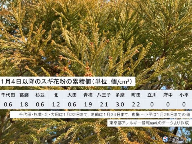 八王子市の花粉情報 2024 - Yahoo!天気・災害