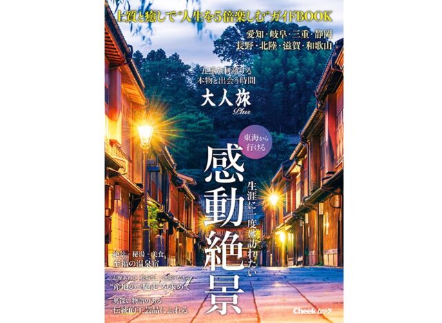 関西/東海発]＜夜発3日間＞富士登山バスツアー！吉田ルート登山富士山専任ガイド同行プラン | vipツアー(viptour)