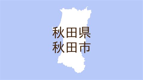 ニューハーフになるための秘訣!これを抑えておけば間違い - 竿