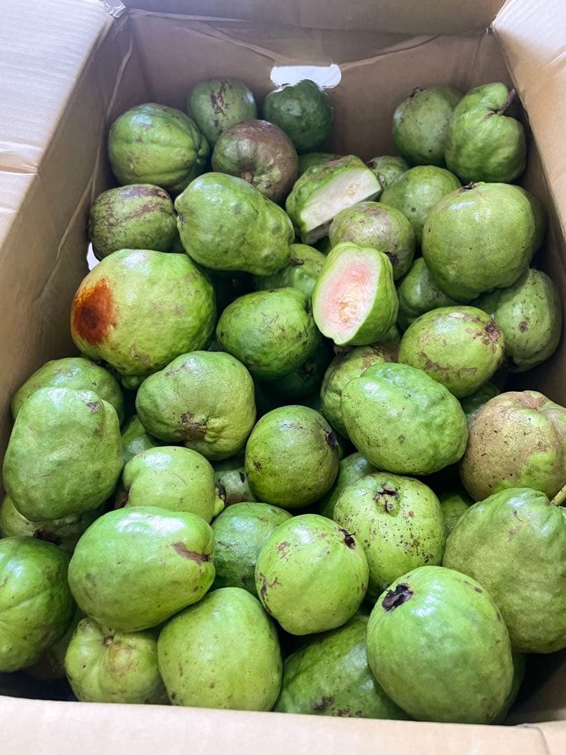 カーコレクション 5弾 佐川急便 飛脚クール便 2台 - メルカリ