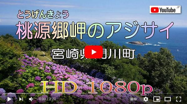 映画「ふたりの桃源郷」上映会＠町田市民ホール – 神奈川・東京多摩のご近所情報 – レアリア