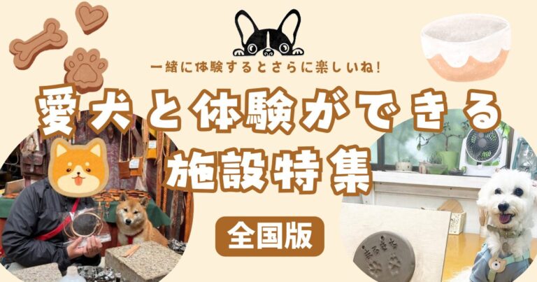 和歌山県由良町】 ゆらの助 ぬいぐるみ＆メッシュキャップ セット