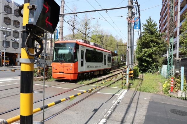 4K前面展望 都電荒川線 東京さくらトラム 三ノ輪橋→早稲田,Toden Arakawa Line Tokyo Sakura TramMinowabashi→Waseda, Aug.2024🇯🇵