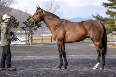 牧場 羊の転職・求人情報 - 北海道求人ボックス