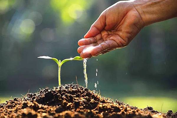 総合図書館貴重書展2011展示資料一覧