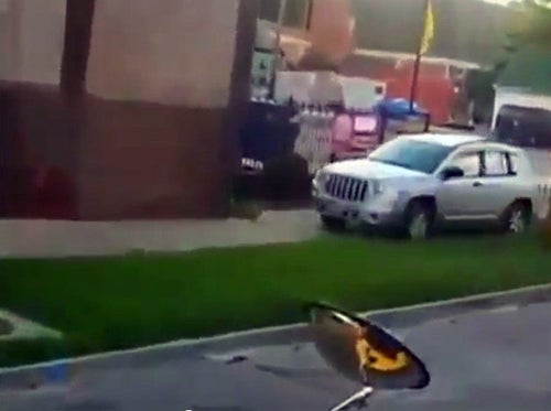 ワシントン州 スクールバスに遭遇したら？ 停車ルールと注意点まとめ - junglecity.com