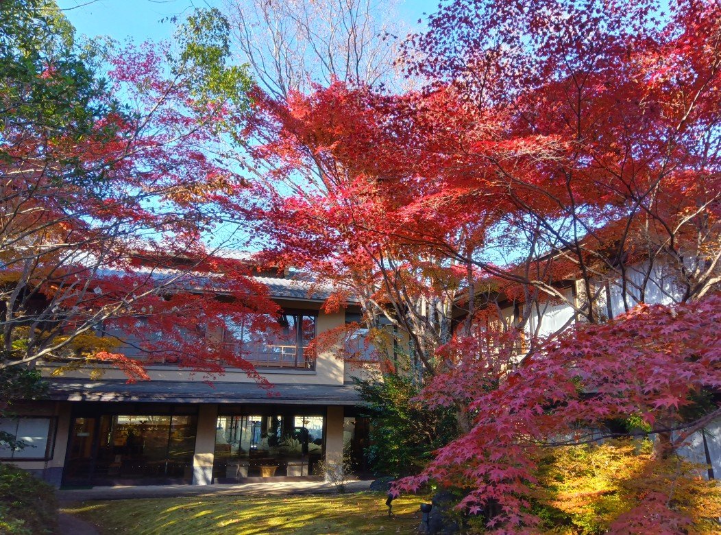 京都・嵐山ご清遊の宿らんざん 宿泊予約プラン・料金一覧【JTB】＜嵐山・嵯峨野＞