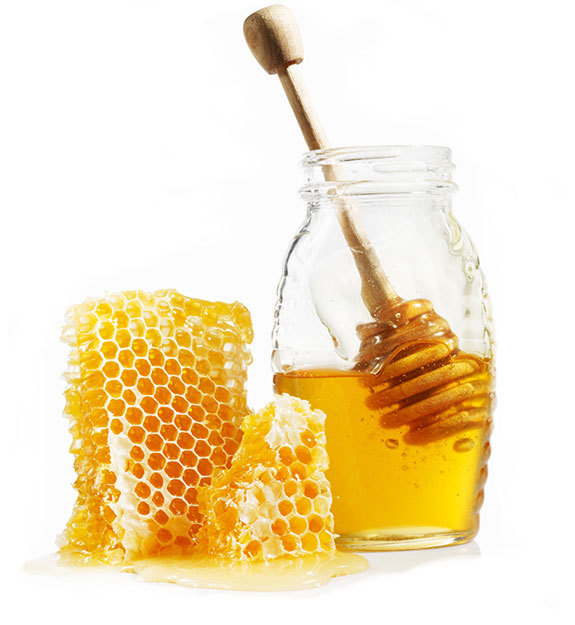 Bee Basics: How honey is